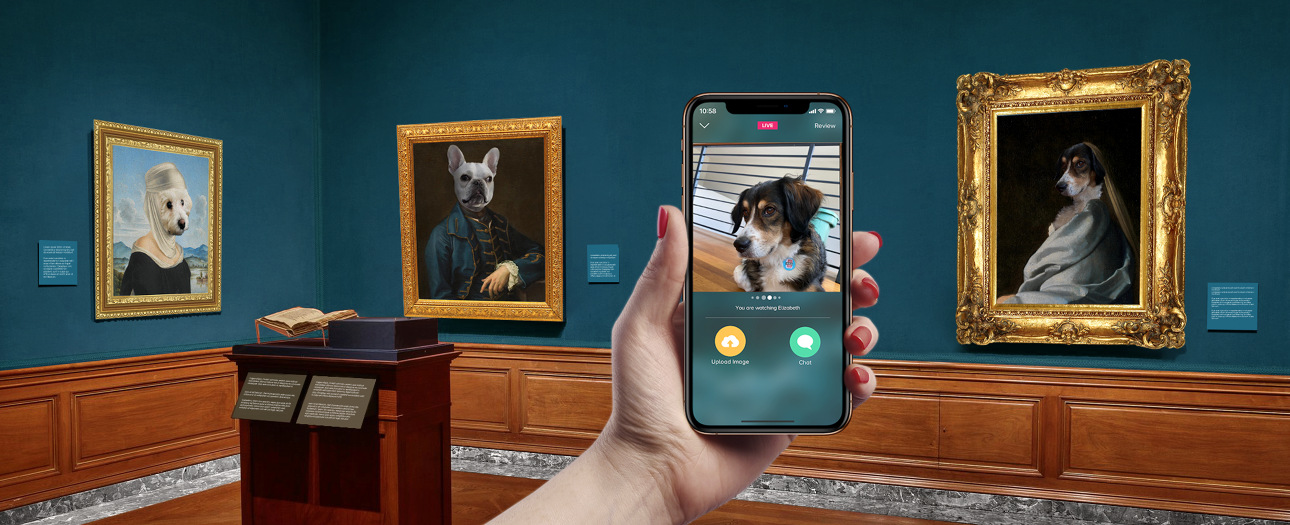 Turn your furry friend into a renaissance work of art using Zazzle LIVE. Kittens and puppies and tigers - oh my!